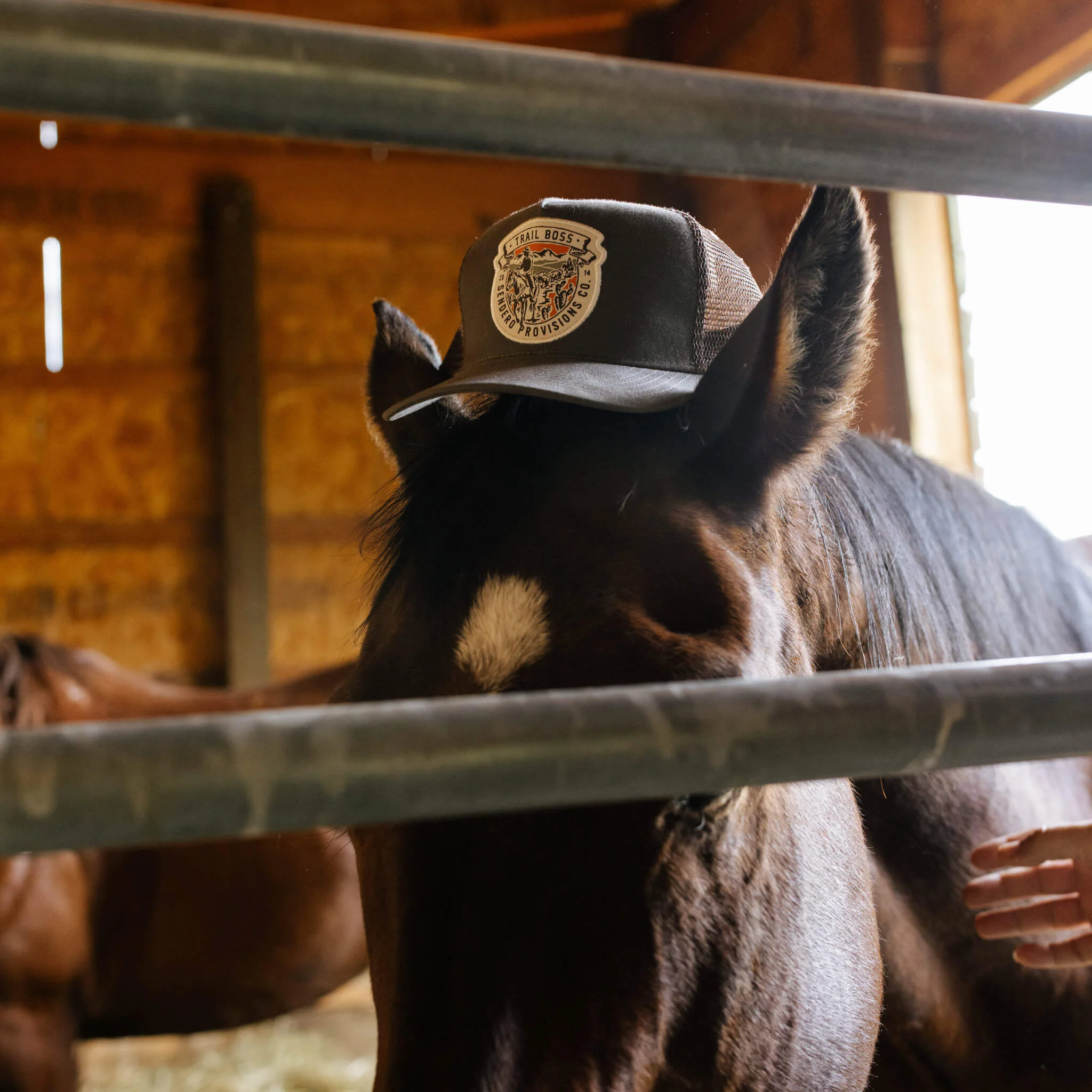Trail Boss Hat - Image 3
